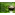 image_13