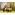image_1