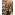 image_1
